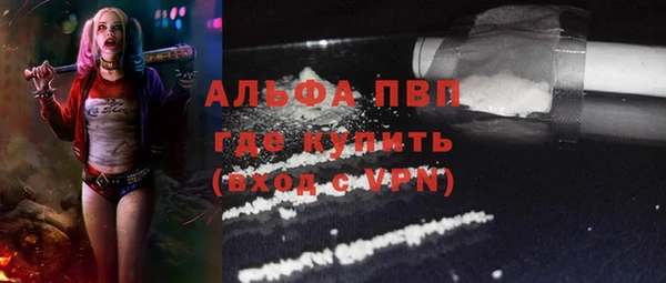 ГАЛЛЮЦИНОГЕННЫЕ ГРИБЫ Балабаново