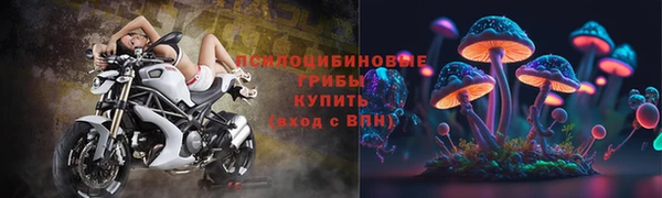 сатива Балахна
