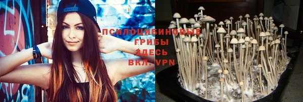 a pvp Баксан