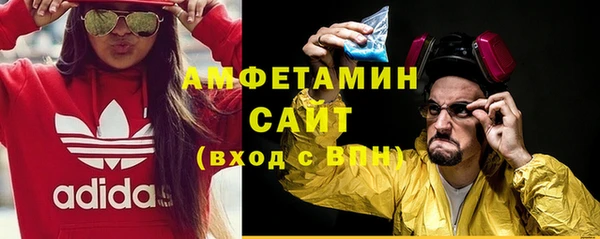 сатива Балахна